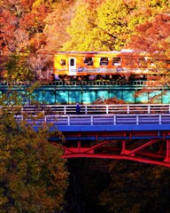 おばあちゃんの電車