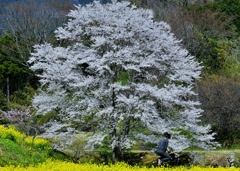 きっと、空を飛べるはず
