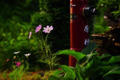 原村の朝