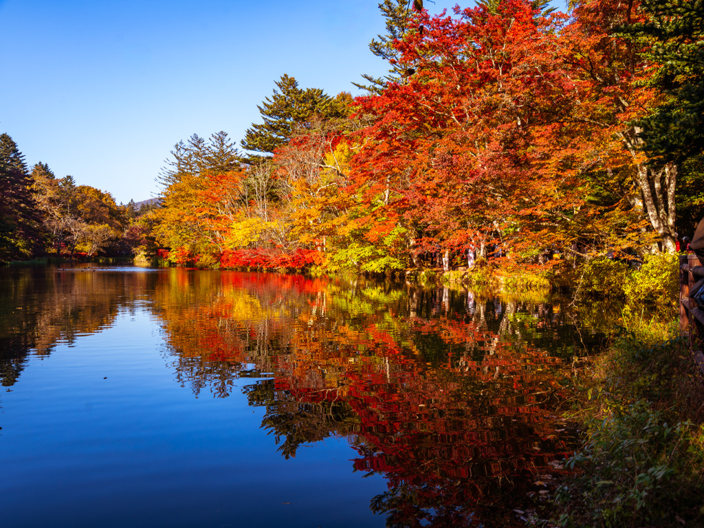 軽井沢　雲場池