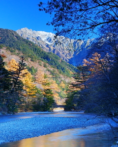 遠い橋