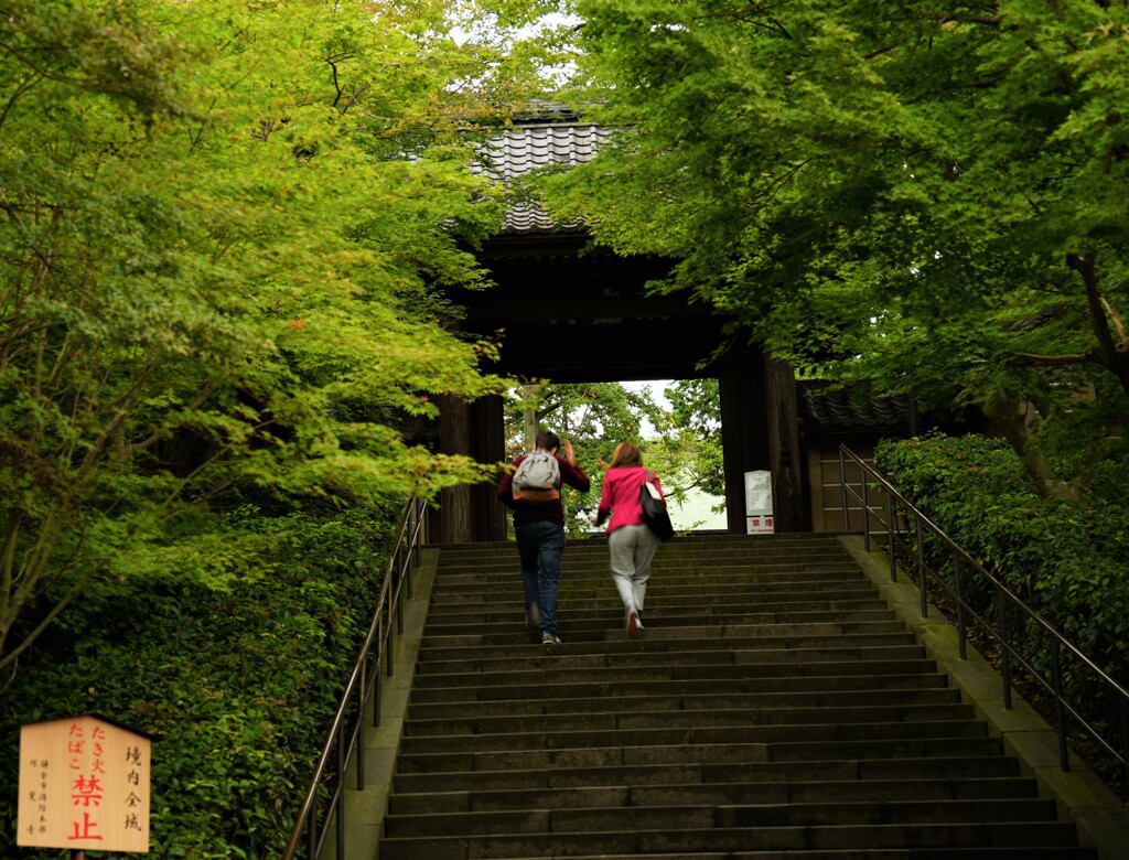 秋なのに・・　　鎌倉・円覚寺