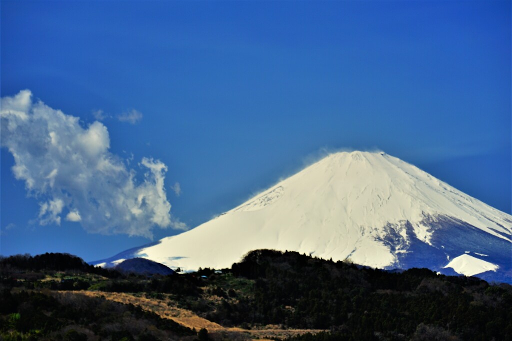 フワフワと漂う