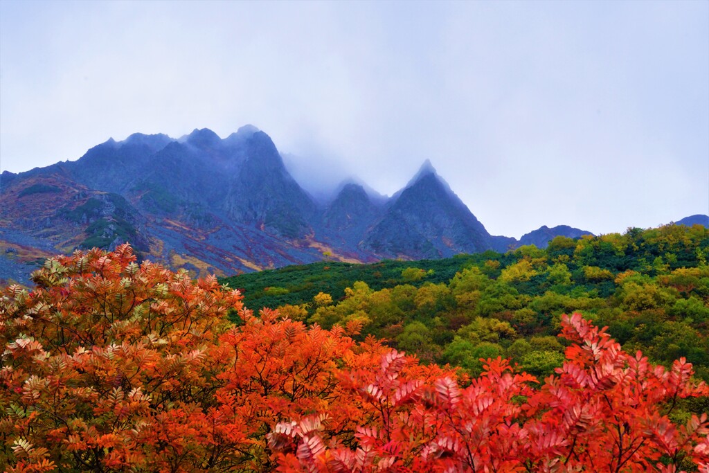 涸沢・紅葉　８