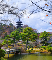 三渓園　初冬