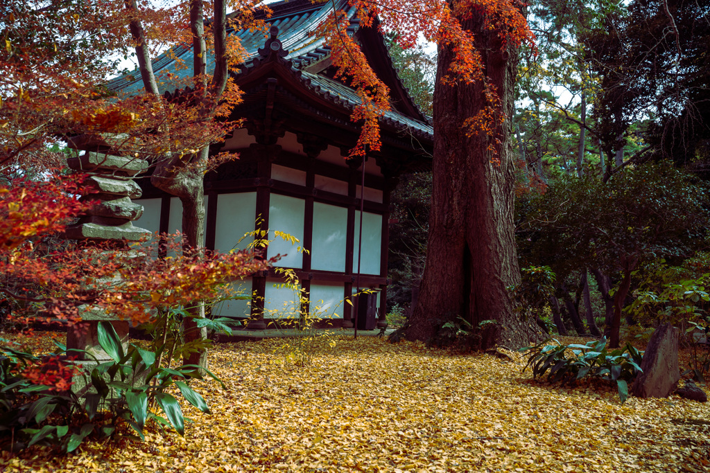 名残りの秋　２