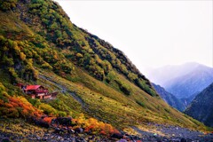 涸沢　紅葉　５