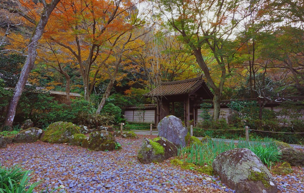 鎌倉　晩秋　２