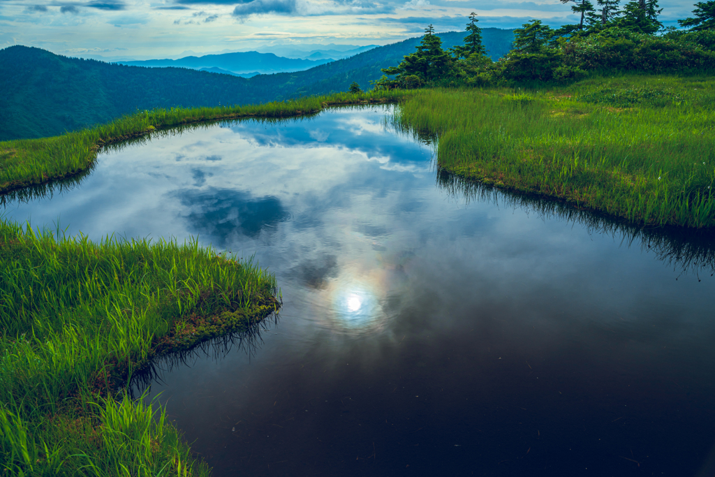 夏山　朝の風景　6