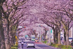 今だけのトンネル 今だけのトンネル