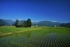 安曇野　田園