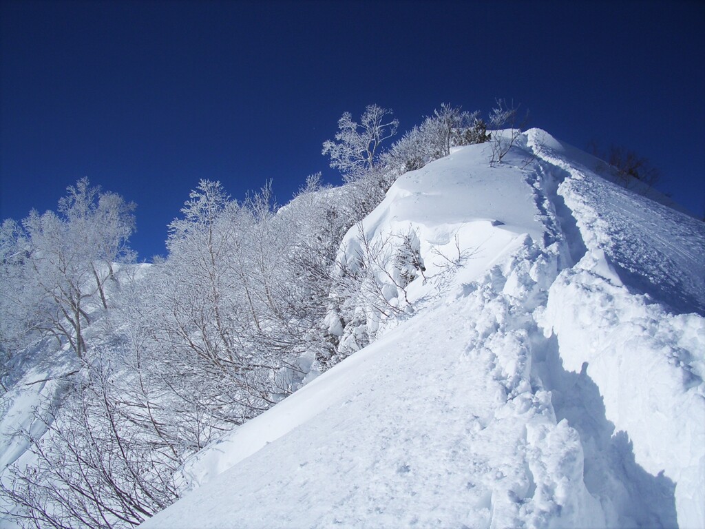 冬　雪道