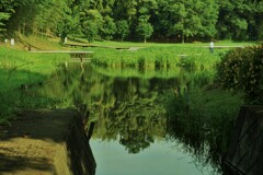 湿地帯のリフレ