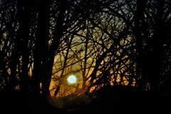 日の出に間に合わなくて・・