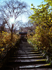 冬の足音　明月院　１