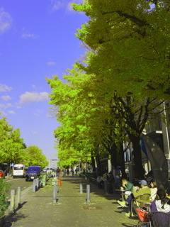 横浜 お茶を楽しむ午後