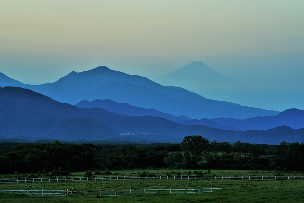 グラデーショナル