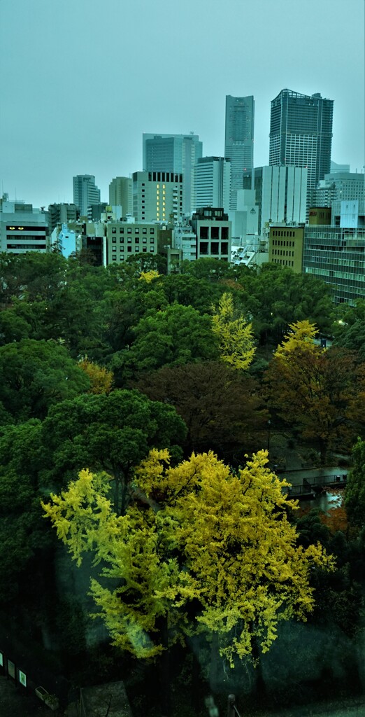 横浜公園　俯瞰
