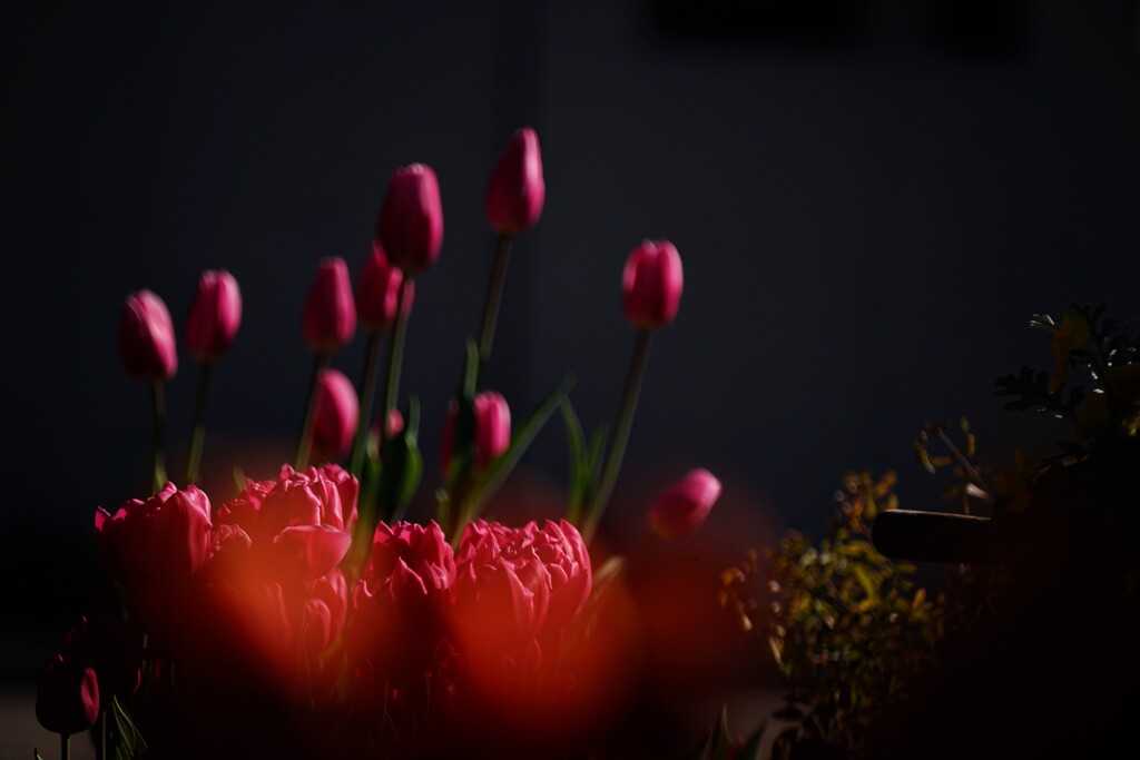 スポットライト