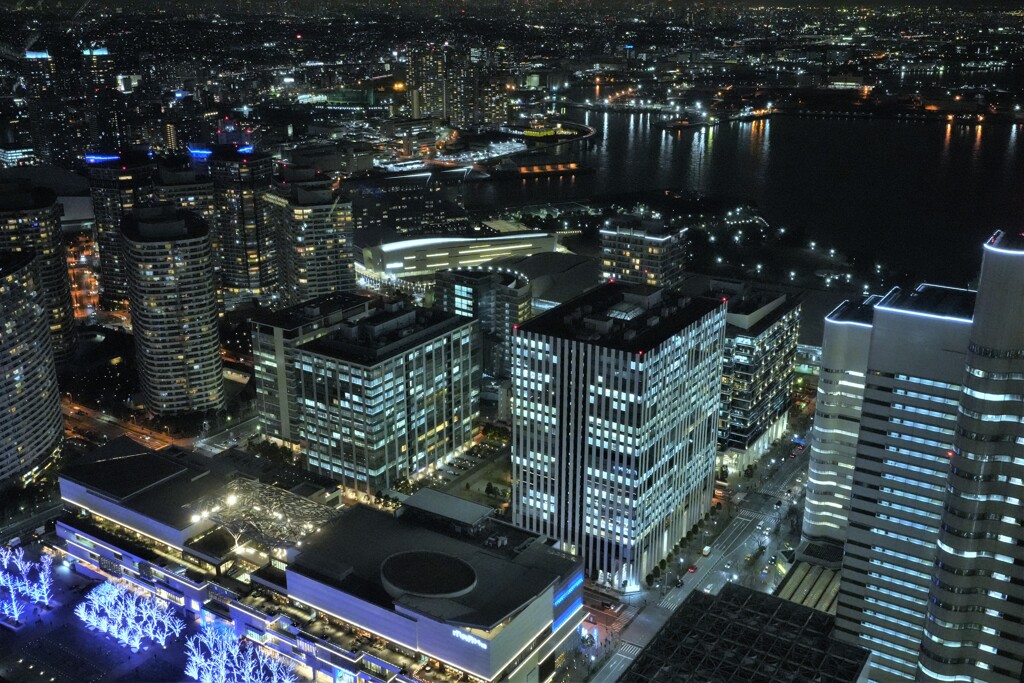 港のある夜景