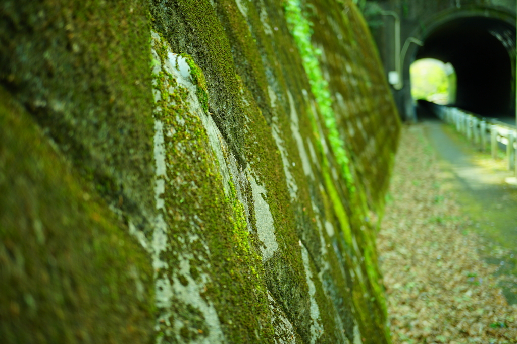 今は誰もいない