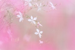 やさしさに包まれて