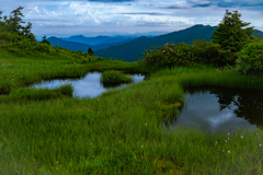 夏山　朝の風景　５