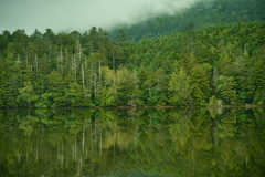 晩夏　白駒池　４