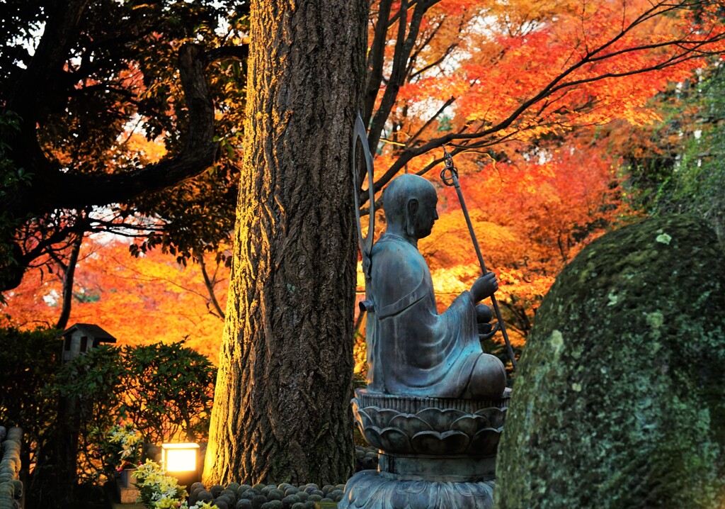 うしろから、ごめんなさ～い！