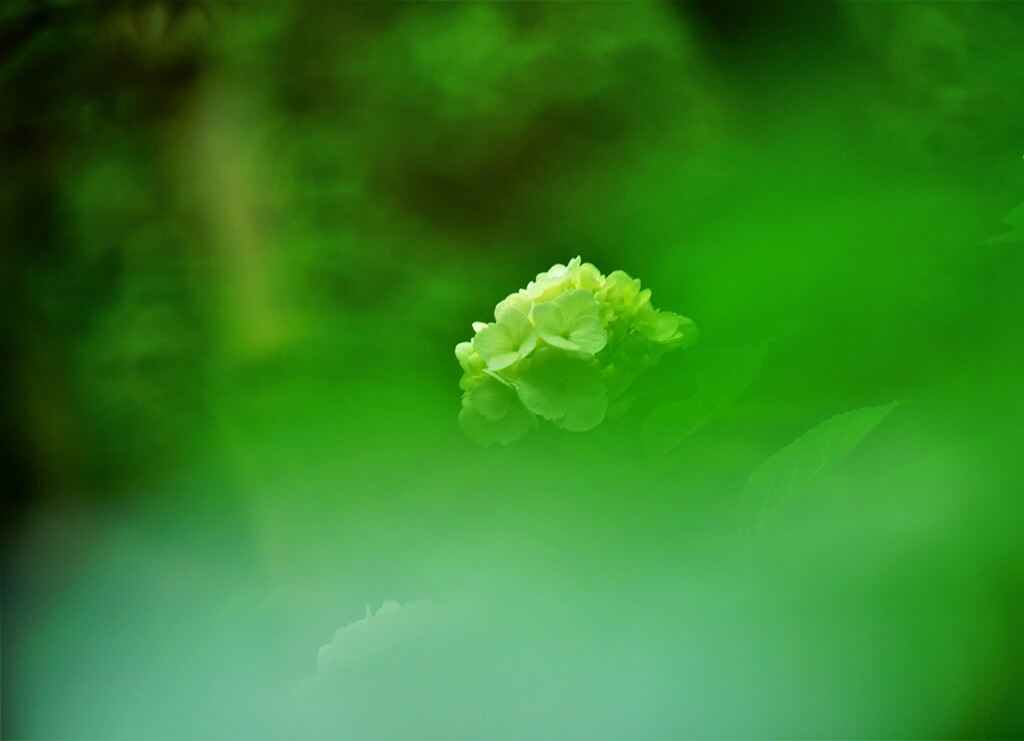 夢中