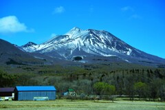 トウモロコシ畑の青い小屋