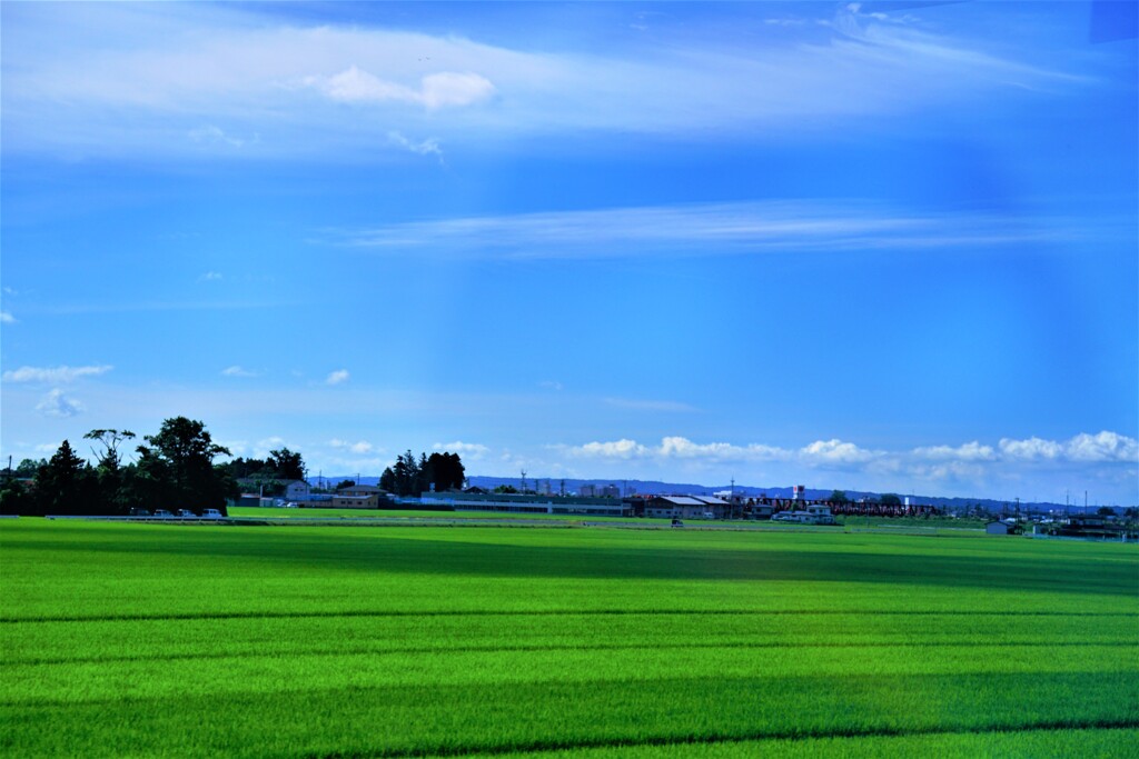 みちのく田園風景