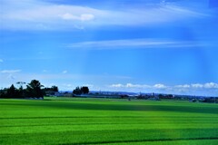 みちのく田園風景