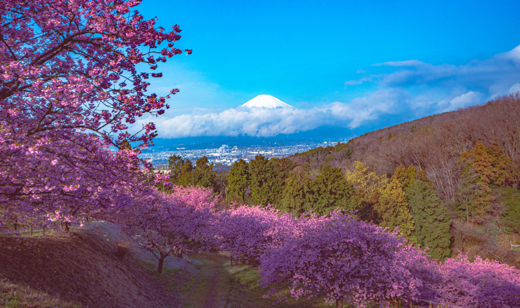 夢のさと　１