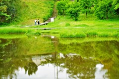 おうちに帰ろう