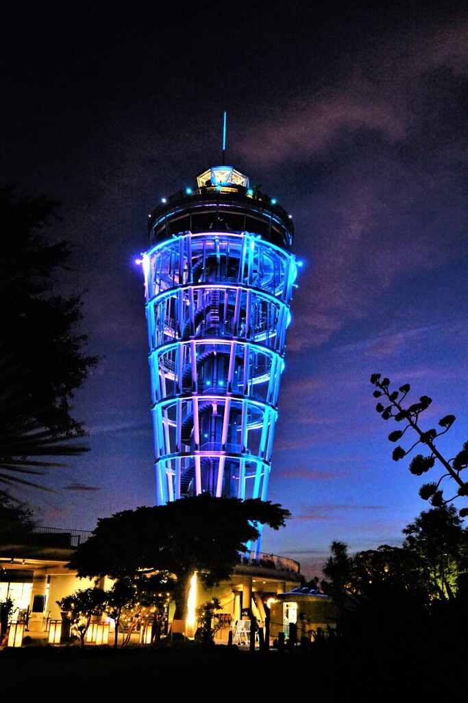 シーキャンドル