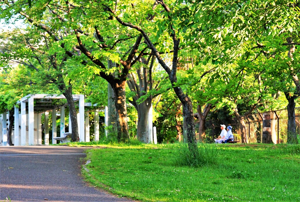 母の日　　仲睦まじく