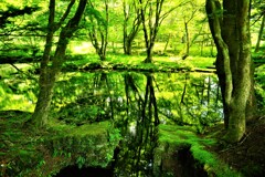 軽井沢散策　４