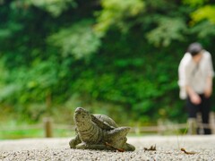 どこ行くの？