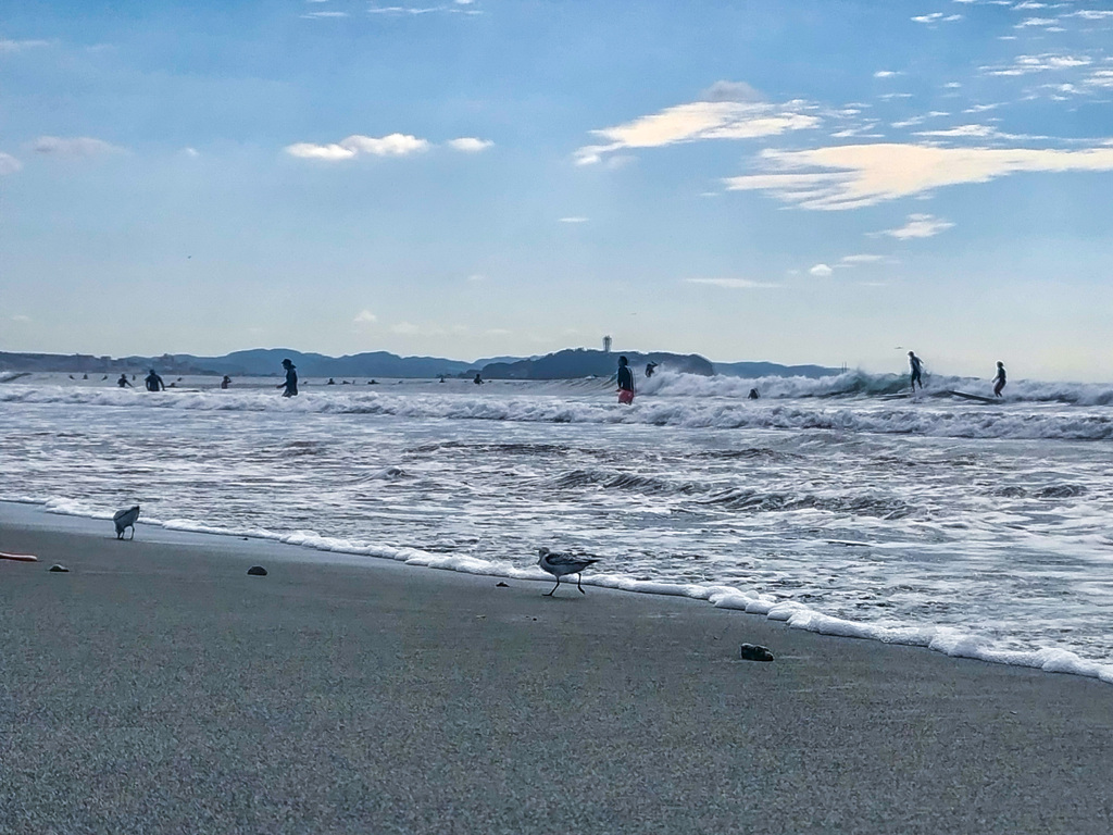 秋の海辺