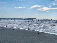 秋の海辺