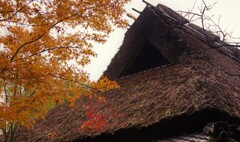 一条恵観山荘　点描