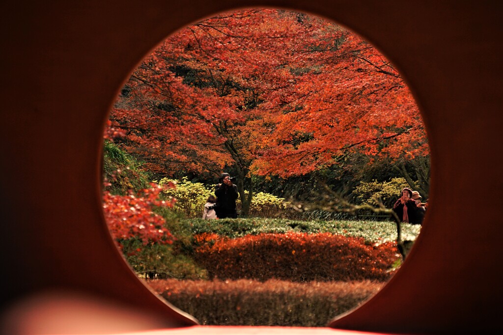 丸窓からの紅葉撮影
