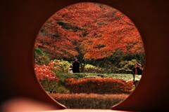 丸窓からの紅葉撮影