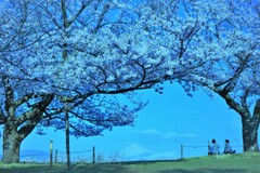 朝のおしゃべり