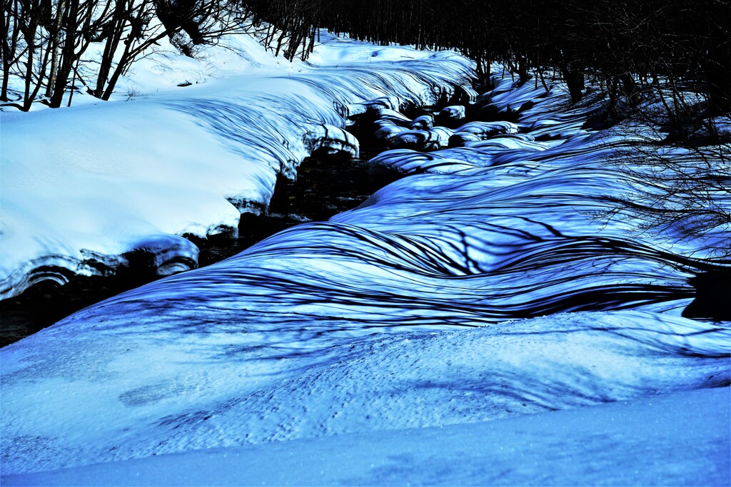 白いキャンパス