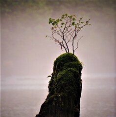 大正池・新生　2019.9