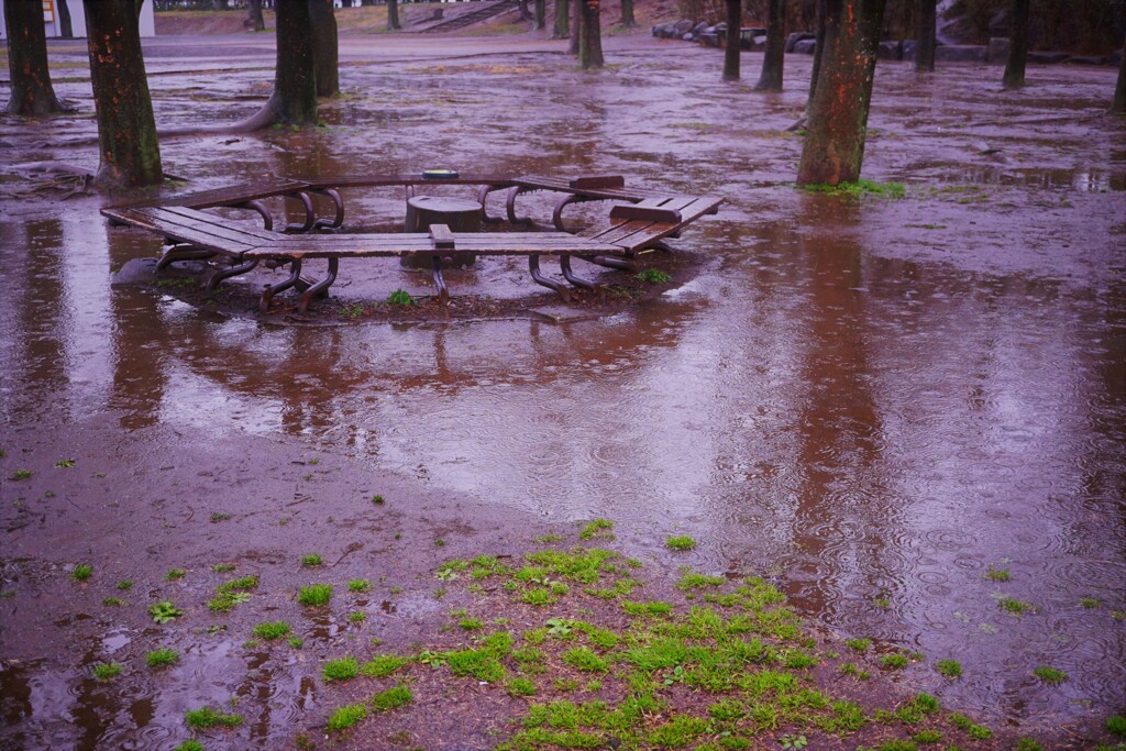 春の雨はやさしいはずなのに・・