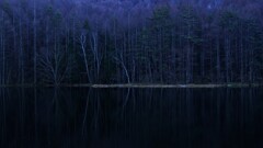 静寂・・御射鹿池