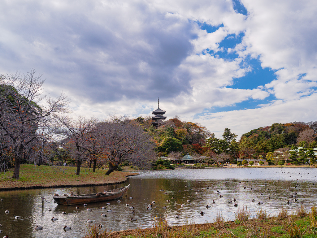 晩秋　三渓園
